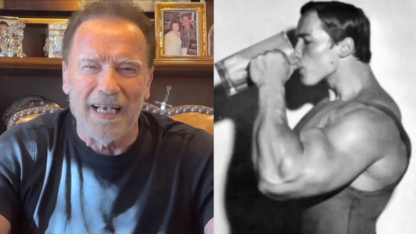 Arnold Schwarzenegger