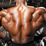 Cobra Back Row Variations
