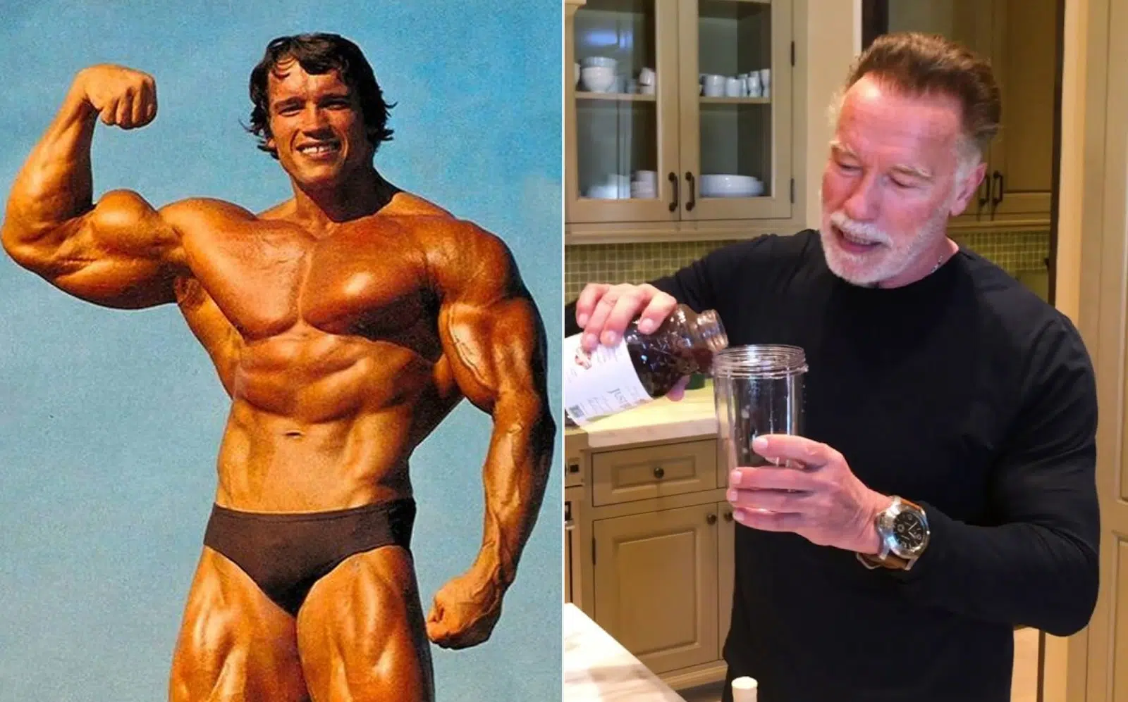 Schwarzenegger How Much Protein Is Too Much