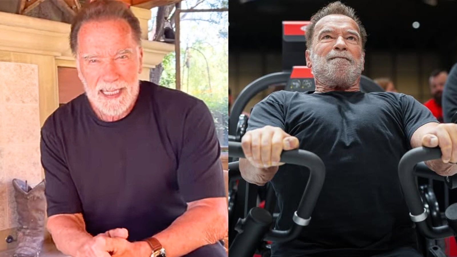 Arnold Schwarzenegger