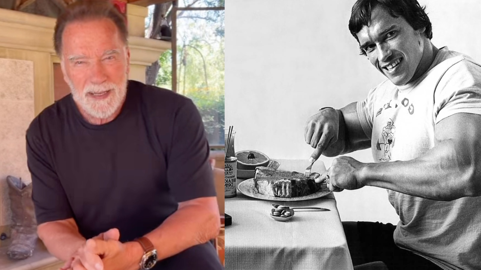 Arnold Schwarzenegger