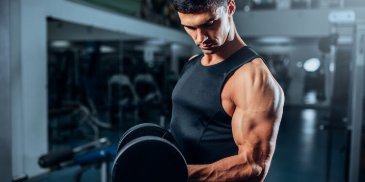 Over 40 Muscle Building Plan