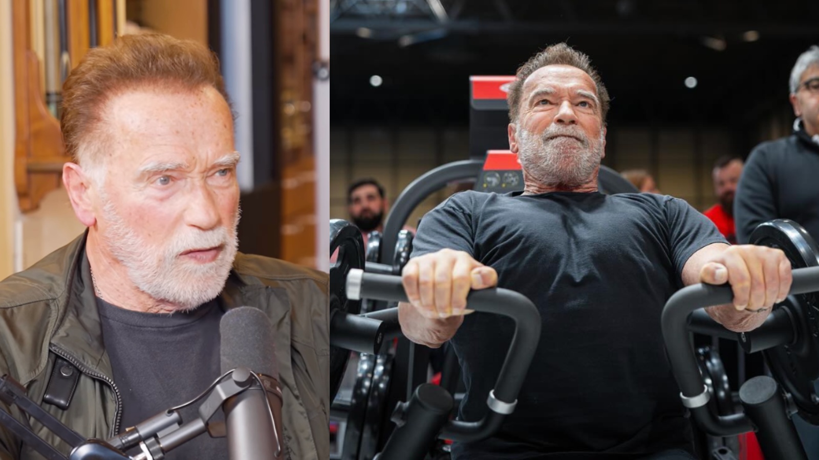 Arnold Schwarzenegger