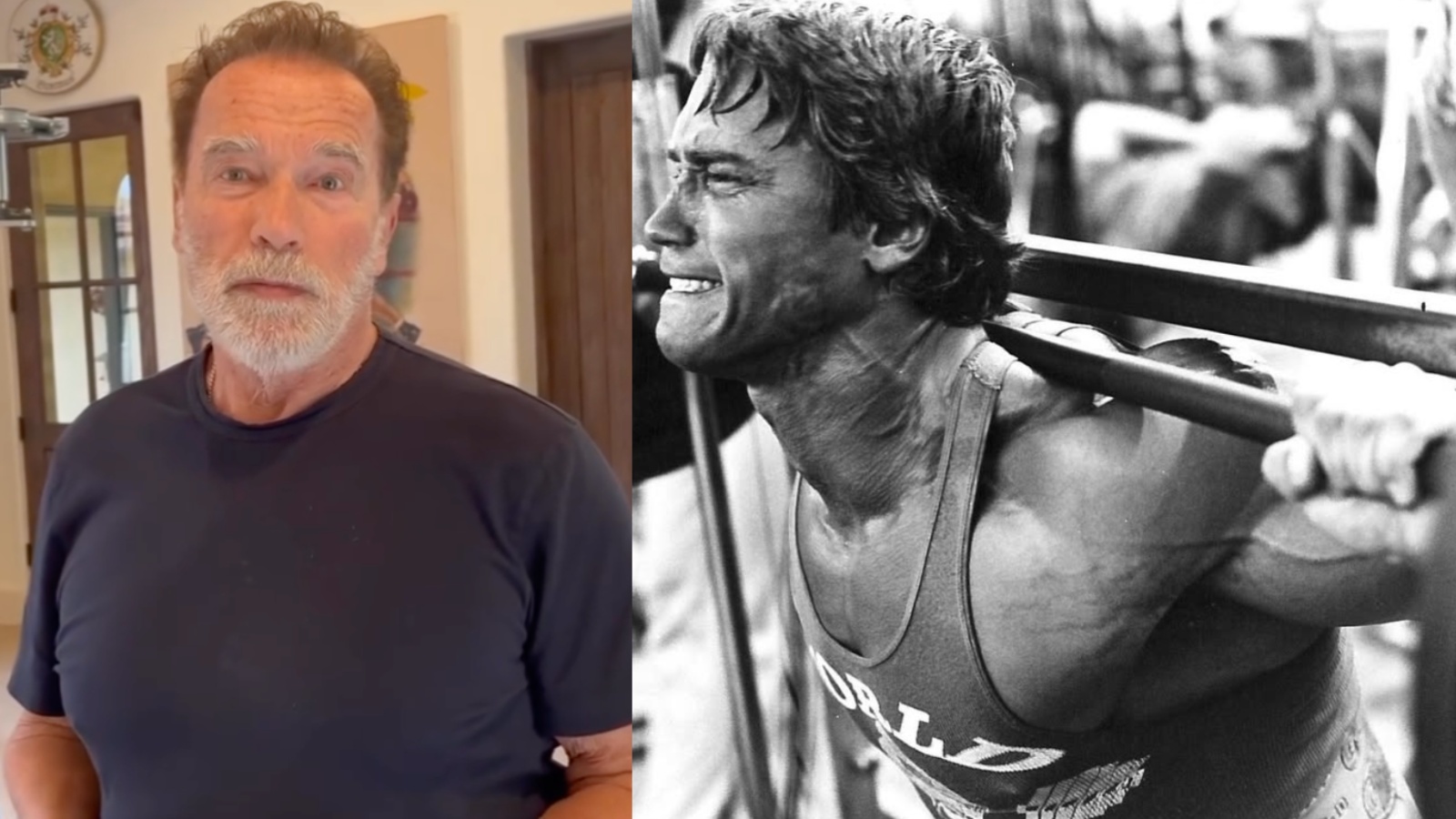 Arnold Schwarzenegger