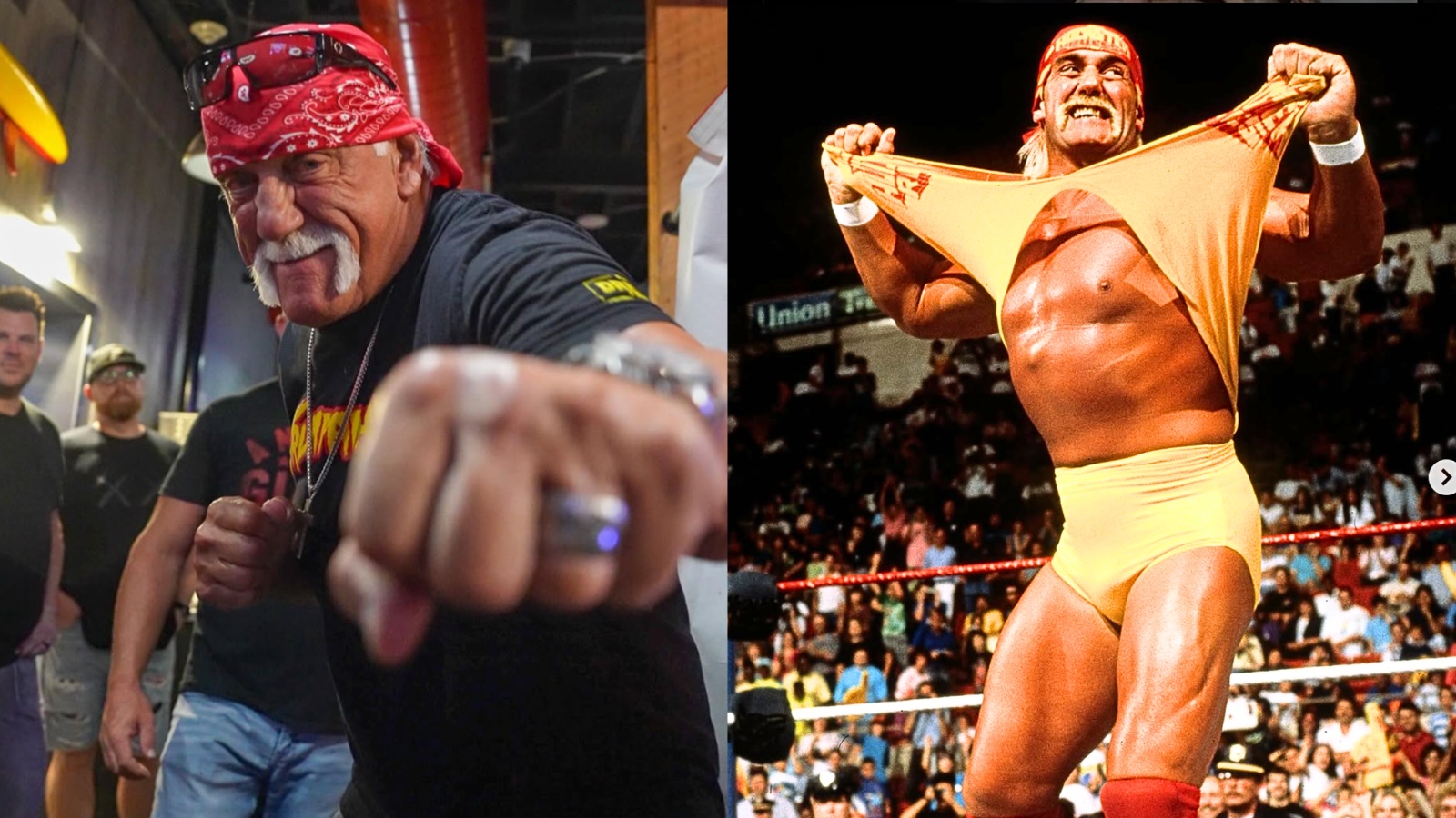 Hulk Hogan