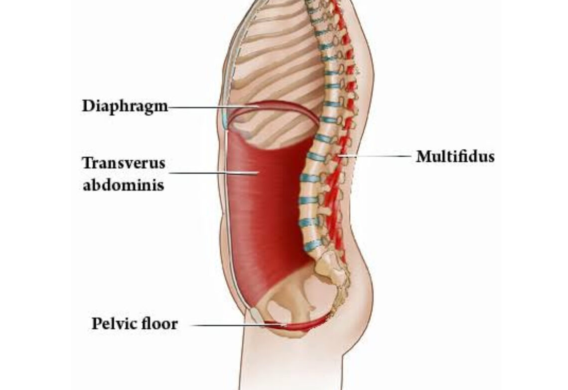 Goodbye Sit-Ups: This 10-Minute Routine Targets Your Core and Pelvic ...