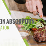 Protein Absorption Calculator