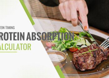 Protein Absorption Calculator