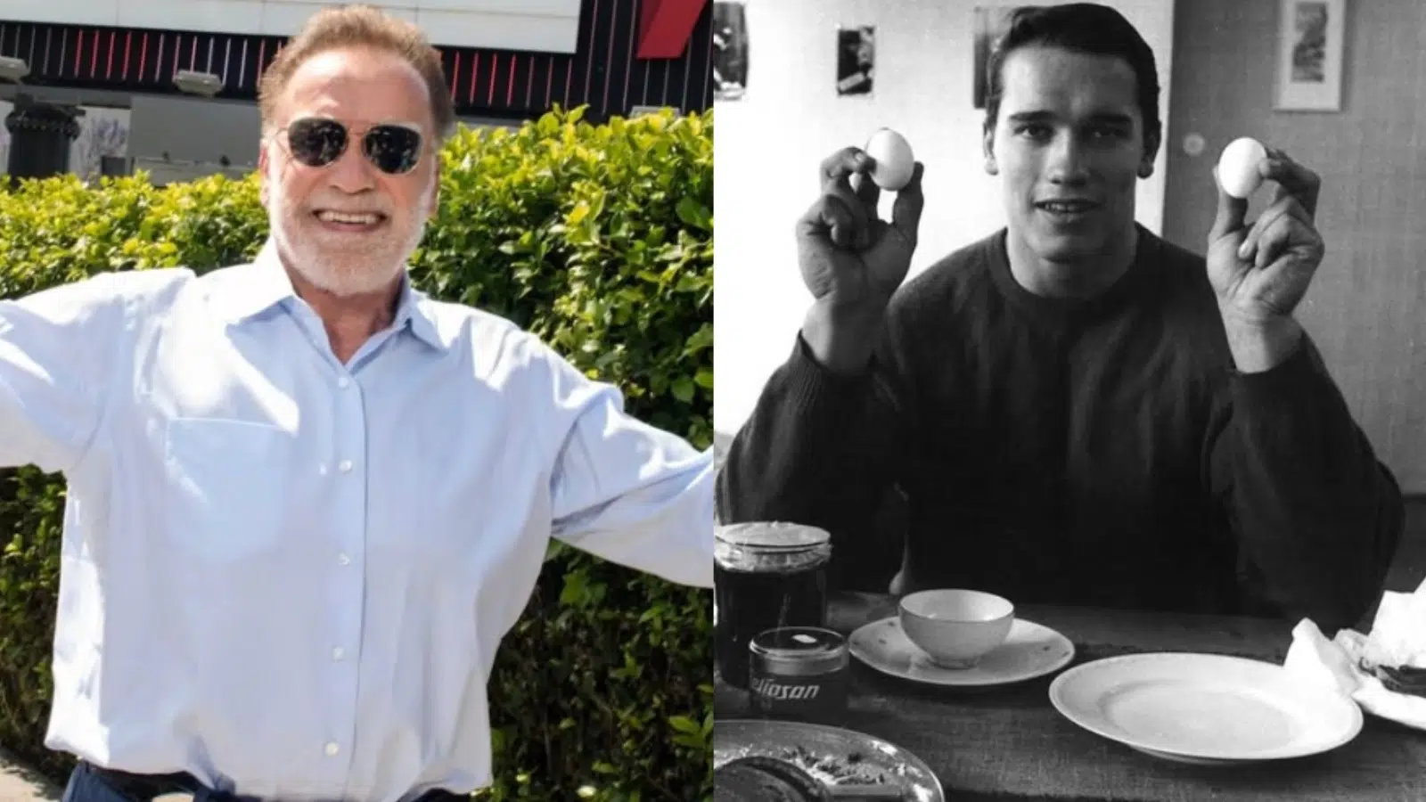 Arnold Schwarzenegger