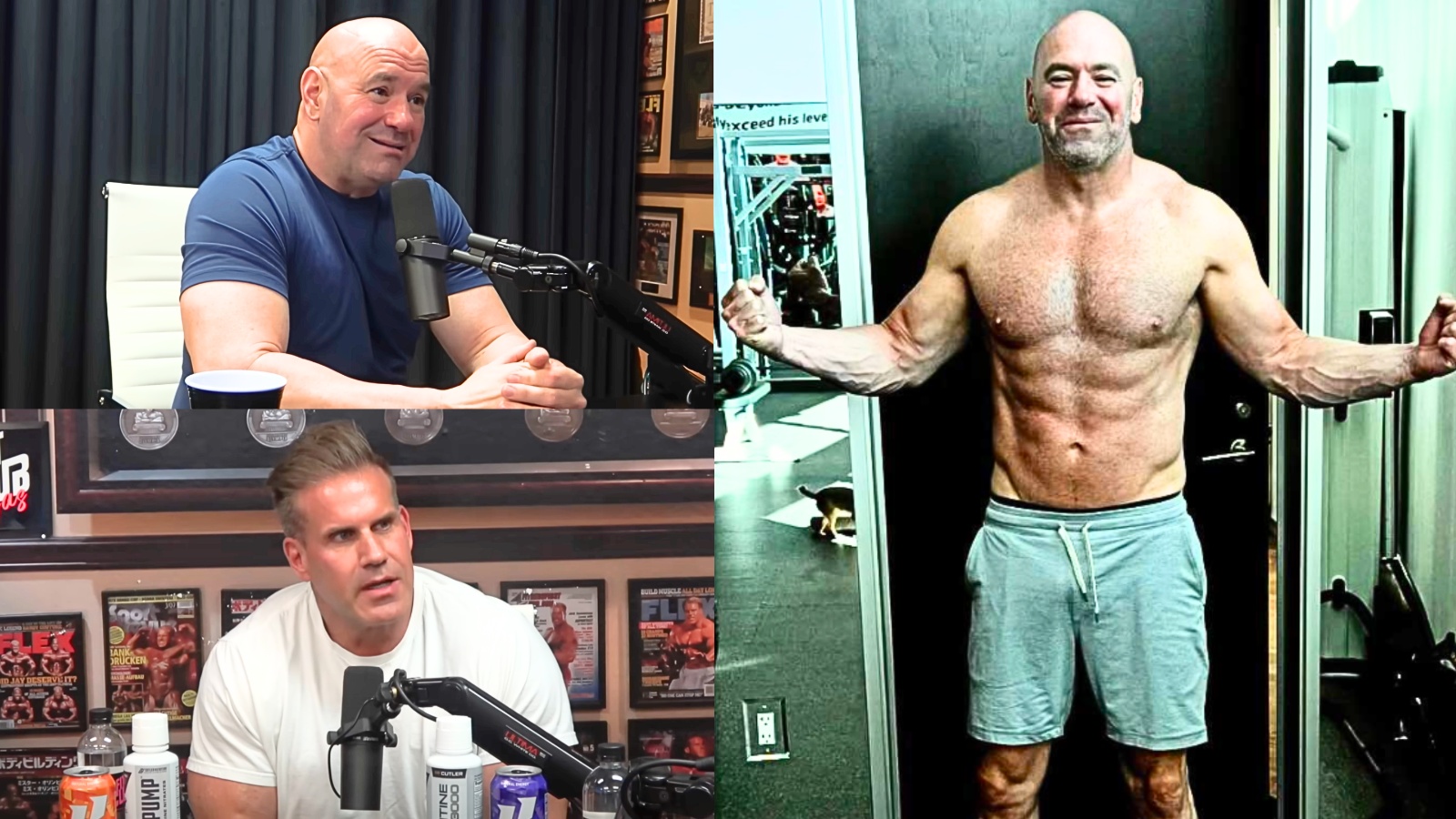Dana White