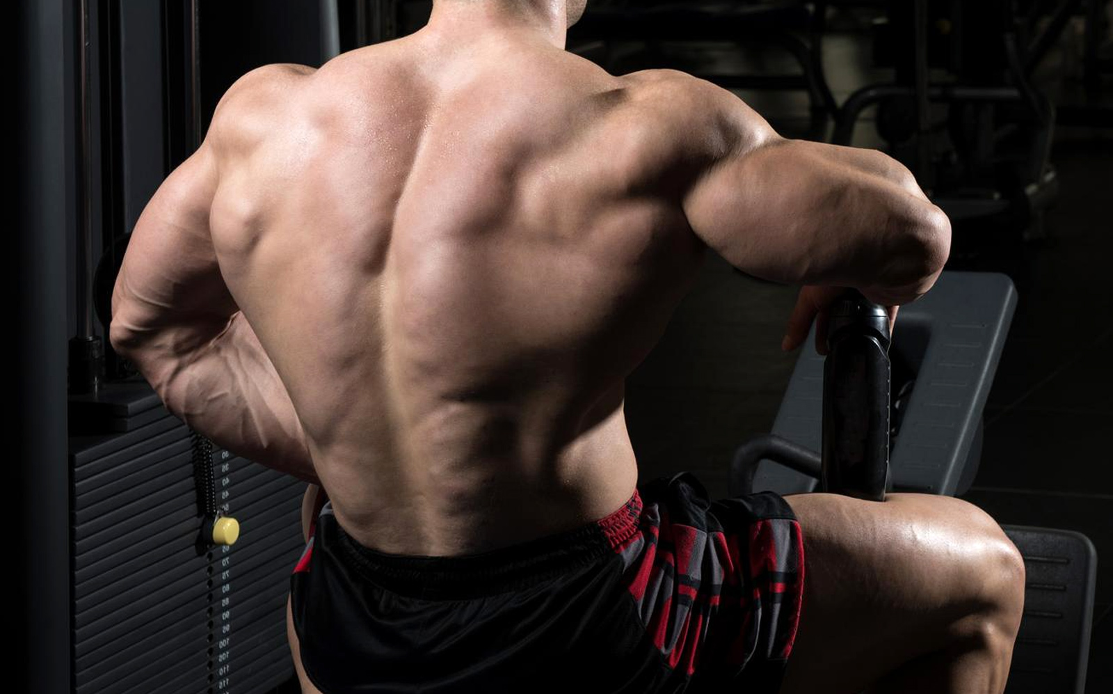 Back Training Mistakes