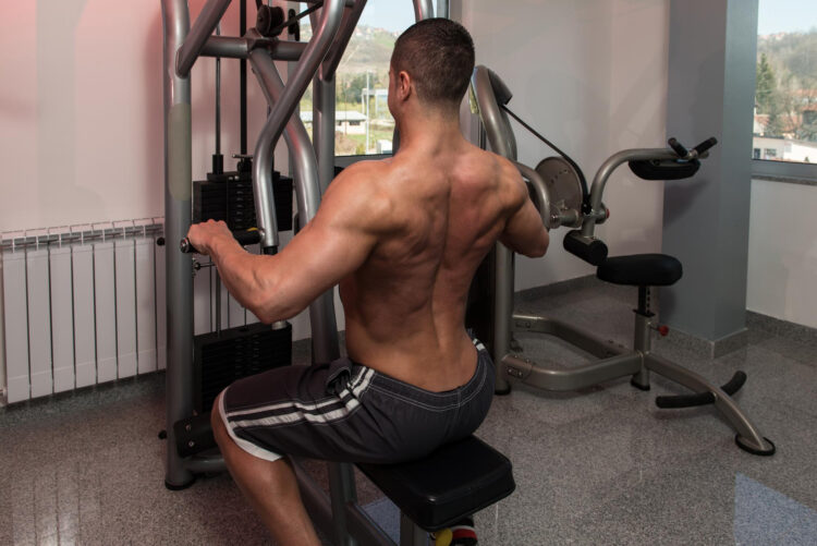 Exercise For Back Exercise For Back