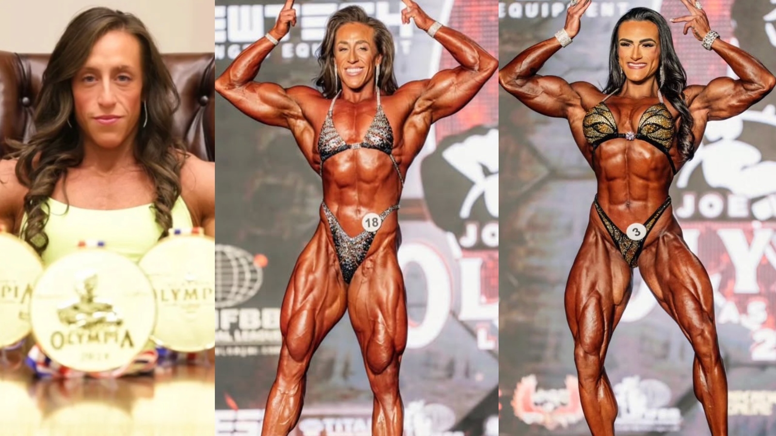 musclepapa, image size:1600x900