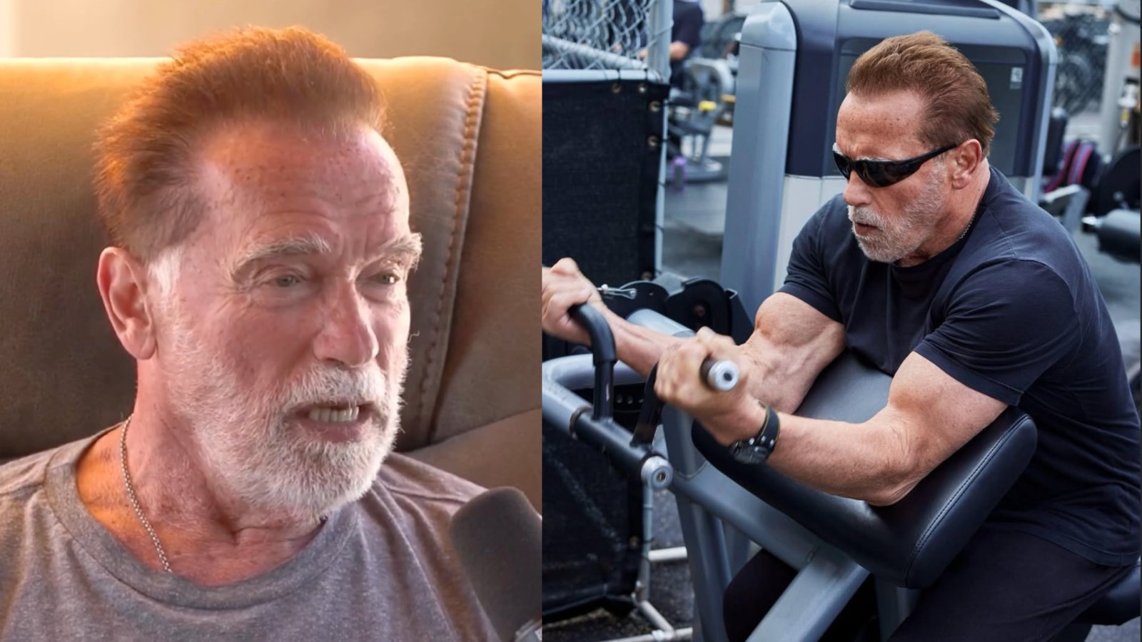 Arnold Schwarzenegger