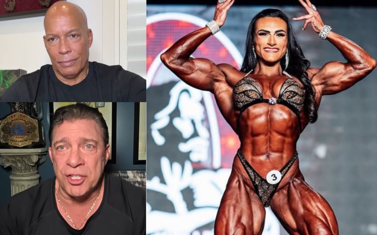 Bob Chicherillo And Shawn Ray Weigh In On Sarah Villegas Pmma Accusations Against Natalia Coelho