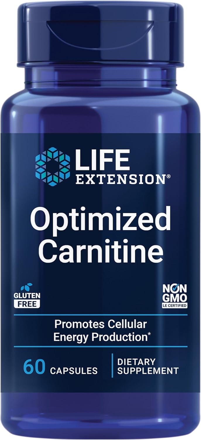 top 5 l carnitine 6 Best L-Carnitine Supplements of 2026 for Training, Powder, Capsules, and  Liquid – FitnessVolt