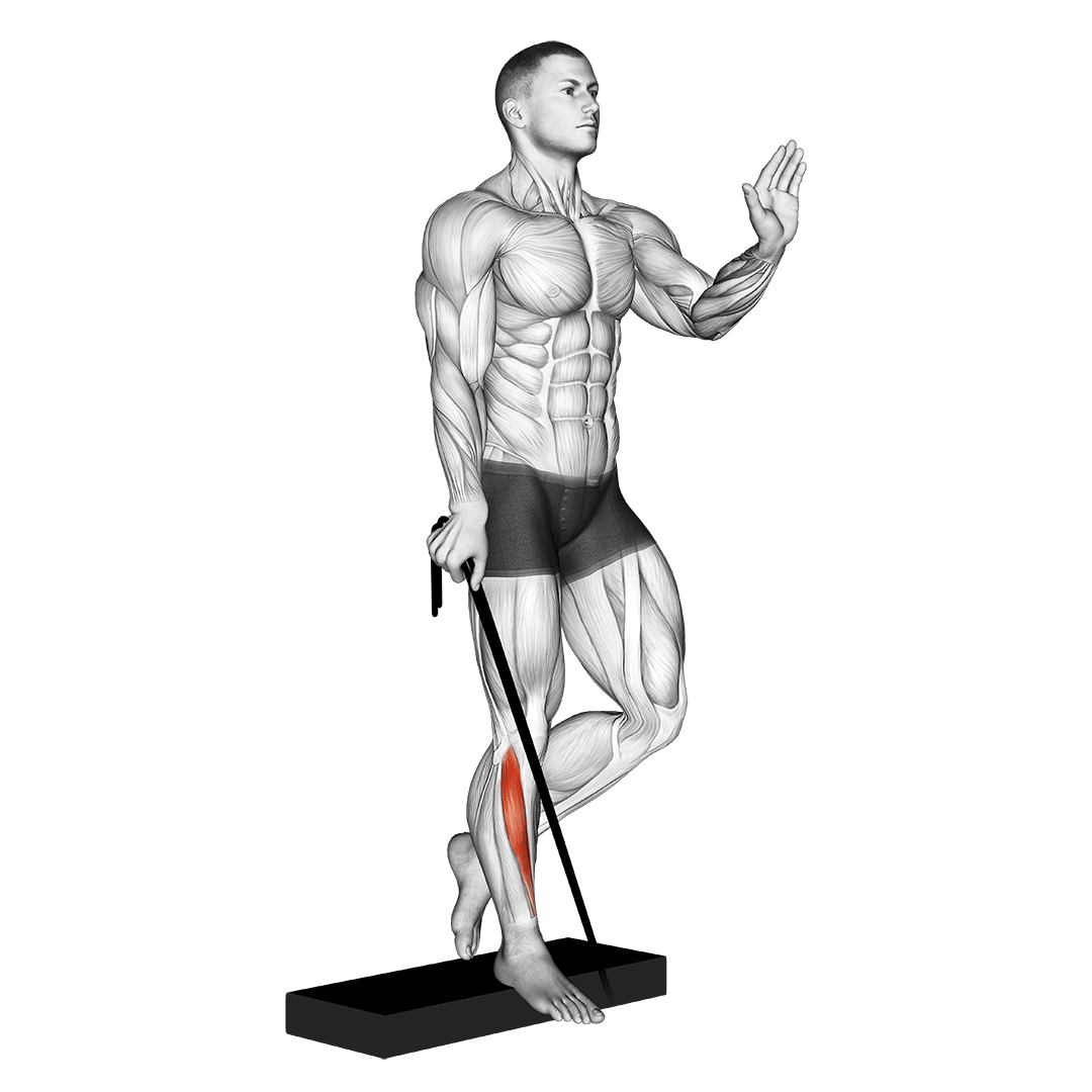 Band Single Leg Reverse Calf Raise To Build Strong Calves Fitness Volt