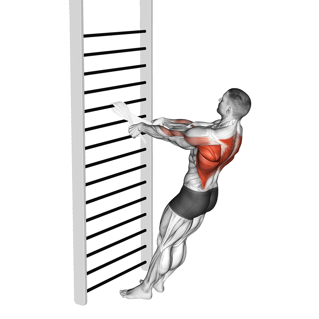 Bodyweight Standing Row With Towel To Strengthen Your Upper Back 