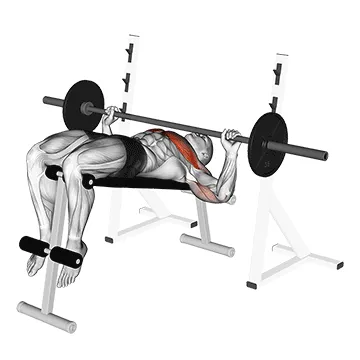 Barbell Decline Wide-grip Press
