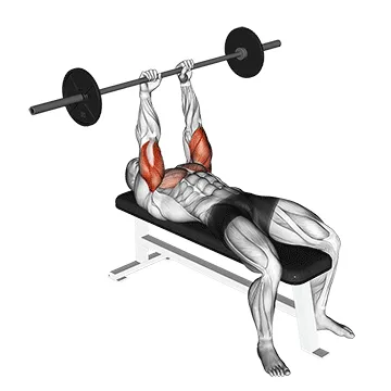 Barbell JM Bench Press