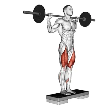 Barbell Rear Lunge