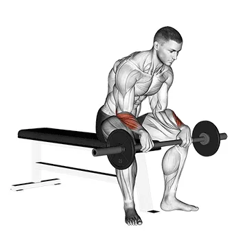 Barbell Revers Wrist Curl