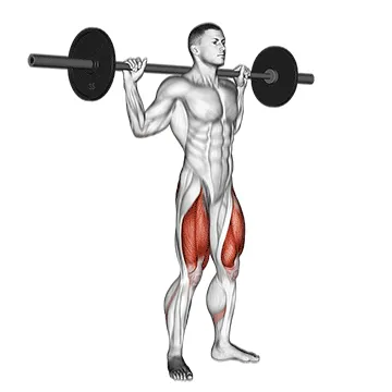 Barbell Speed Squat
