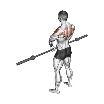 Barbell Upright Row