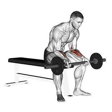 Barbell Wrist Curl
