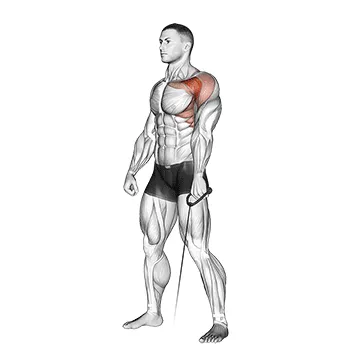 Cable Forward Raise