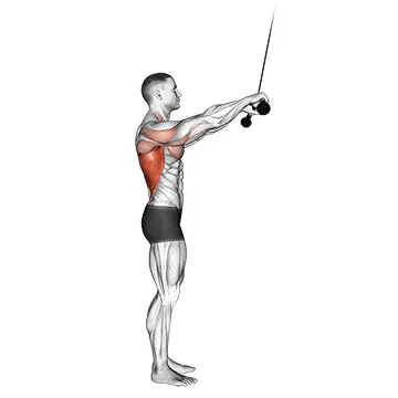 Cable Pushdown (Straight Arm)
