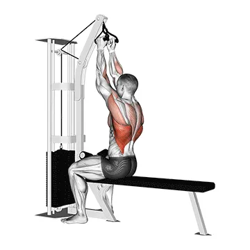 Cable Seated High Row (V-bar)