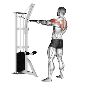 Cable Standing Rear Delt Row (With Rope)