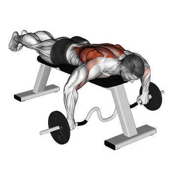 Cambered Bar Lying Row