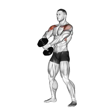 Dumbbell Front Raise
