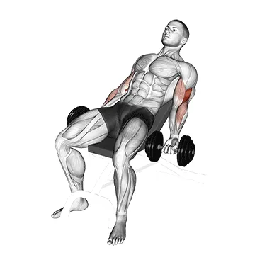 Dumbbell Incline Curl