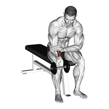 Dumbbell One Arm Wrist Curl