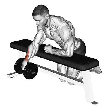Dumbbell Over Bench One Arm Wrist Curl