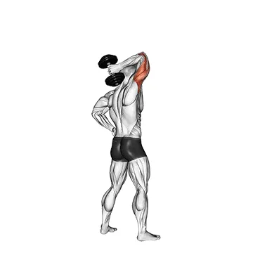 Dumbbell Standing One Arm Extension
