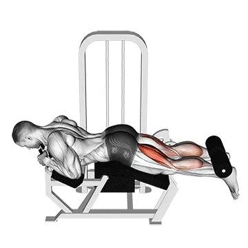 Lever Lying Leg Curl