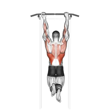 Mixed Grip Chin-up