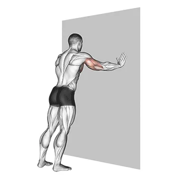 Push-up (Wall)
