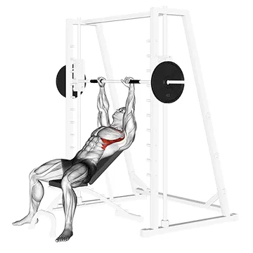 Smith Incline Shoulder Raises