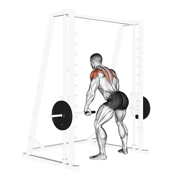 Smith Rear Delt Row
