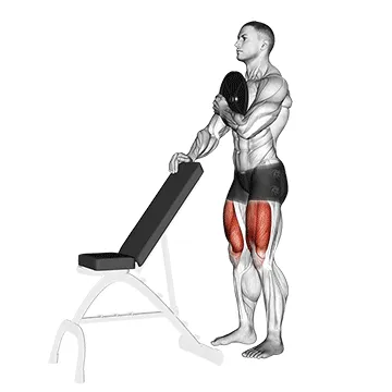 Weighted Sissy Squat
