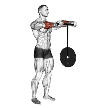 Wrist Rollerer