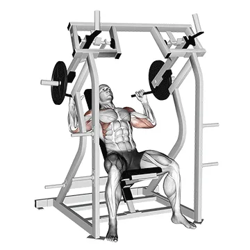 Lever Shoulder Press