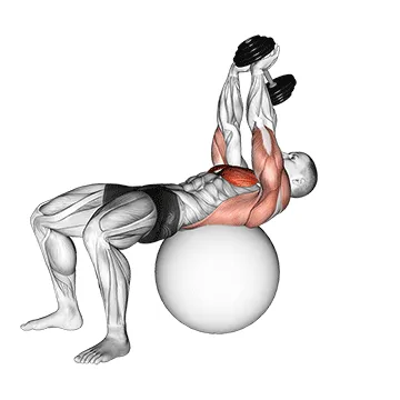 Dumbbell Lying Pullover On Exercise Ball