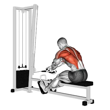Cable Rope Crossover Seated Row