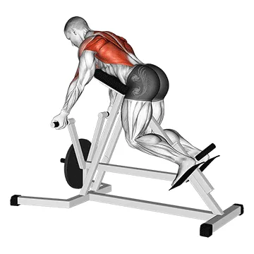 Lever Reverse T-Bar Row